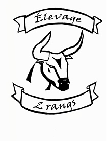 Finalistes locaux - Entrepreneuriat étudiant